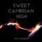 The Biggest Risk - Late Cambrian lyrics