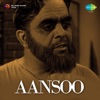 Aansoo (Original Motion Picture Soundtrack)
