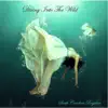 Diving into the Wild - Single album lyrics, reviews, download