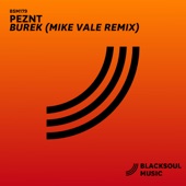 Burek (Mike Vale Remix) artwork