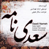 Saadi Nameh (feat. Hamid Motebassem, Hosein Behroozinia, Said Farajpouri, Pejman Hadadi & Behnam Samani) artwork