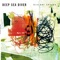 Ships - Deep Sea Diver lyrics