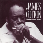 James Cotton - Blow Wind Blow