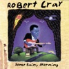 The Robert Cray Band - Never Mattered Much