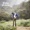 Willie Watson - Always Lift Him Up And Never Knock Him Down