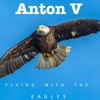 Anton V - Flying With The Eagles