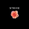 Strive - Single