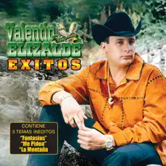 Éxitos de Valentín Elizalde by Valentín Elizalde album reviews, ratings, credits