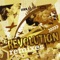 Revolution (Julien Créance Radio Remix) - Molella lyrics
