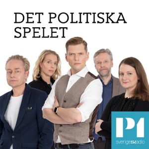 Det politiska spelet