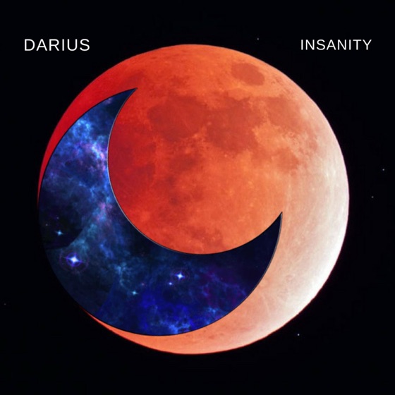 Cover artwork for Insanity