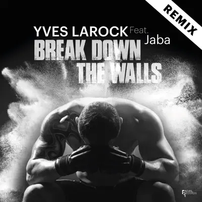 Break Down the Walls (Remix) [feat. Jaba] - Yves Larock