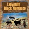 Lezonkomo (Praise the Cows & Bulls) - Ladysmith Black Mambazo lyrics