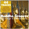 Buddha Grooves - 44 Lounge & Chillout Tracks