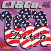 USA Disco artwork