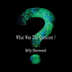 What Was the Question? - Billy Sherwood What Was the Question? - Billy Sherwood