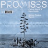 promises-sonny-fodera-extended-remix-single