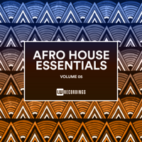 Various Artists - Afro House Essentials, Vol. 05 artwork