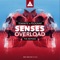 Senses Overload (EH!DE & Skyloud Remix) - PsoGnar & Teminite lyrics