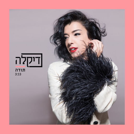 Cover artwork for תודה