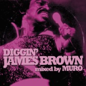 James Brown - Blind Man Can See It