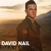David Nail - Whatever She's Got