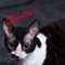 Jamie Mosher - Super Happy Funtime lyrics