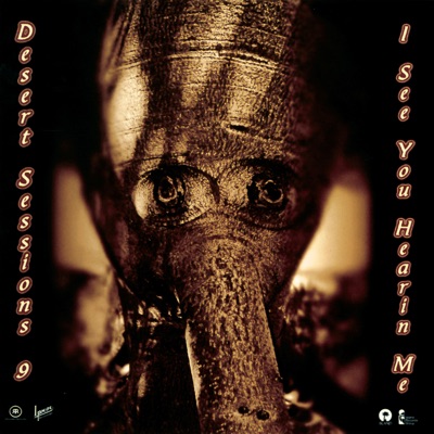 The Desert Sessions, Vols. 9 & 10 - Desert Sessions