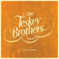 The Teskey Brothers - Pain and Misery artwork