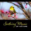 Soothing Music of Nature album lyrics, reviews, download