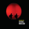 Caetano Veloso - Rapte-me, Camaleoa