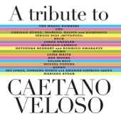 A Tribute To Caetano Veloso artwork