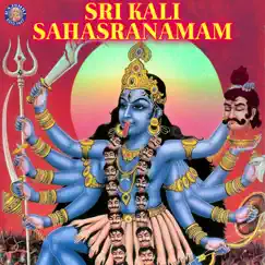 Sri Kali Sahasranamam by Ketaki Bahve Joshi & Ketan Patwardhan album reviews, ratings, credits