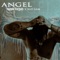 Angel (feat. Bad Sam) - Toumba Vargués​ lyrics