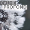 Calme Profond - Kundalini guérison spirituelle, sons relaxante et calme de la nature