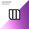 Parallel Worlds (Asteroid Extended Mix) - Amos & Riot Night lyrics