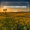Meditation & Mindfulness, Vol. 2 - EP, 2017