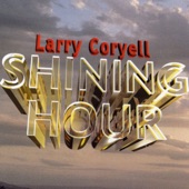 Larry Coryell - All The Things You Are