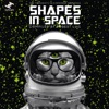 Shapes in Space