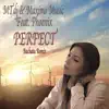 Perfect (With Phoenix) [Bachata Remix] - Single album lyrics, reviews, download