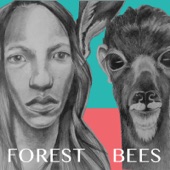 Forest Bees - Hollow Bones