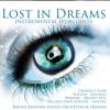 Lost In Dreams: Instrumental Worldhits