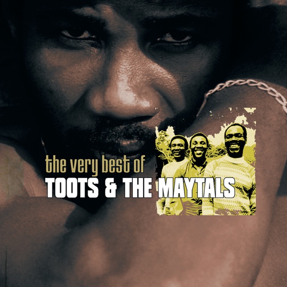 Cover artwork for Reggae Got Soul