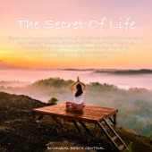 The Secret of Life (feat. Binaural Beats Life, Binaural Beats Home & VR Beats) artwork