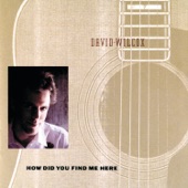 David Wilcox - How Did You Find Me Here