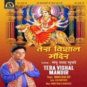 Tera Vishal Mandir - Mangu Shah Sufi