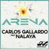 Arena (feat. Nalaya) - Single album lyrics, reviews, download