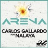 Arena (feat. Nalaya) - Single