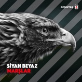 Tek Aşkımız Beşiktaş artwork