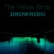 Drowning - The Yellow Birds lyrics